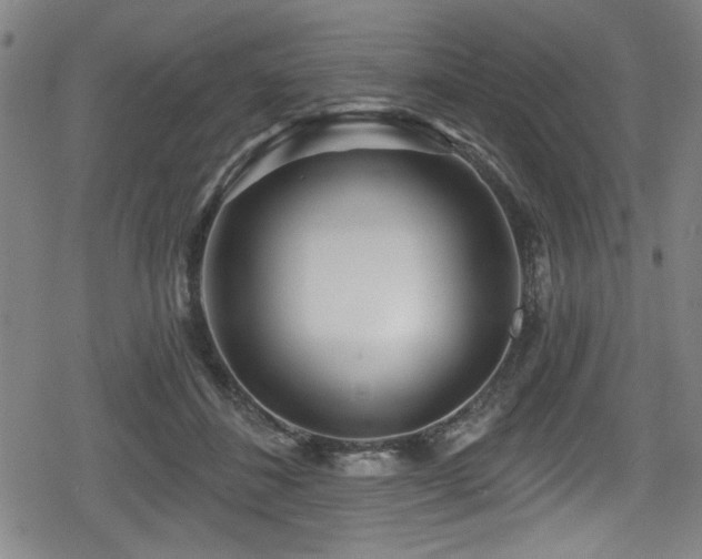 X0000078890508200611131233