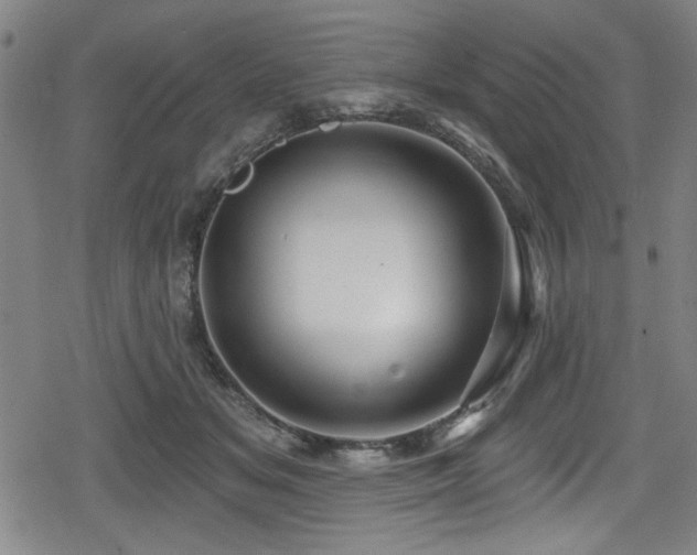 X0000078890509200611131233