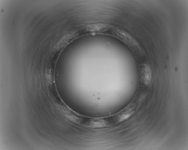 X0000078890510200611131233