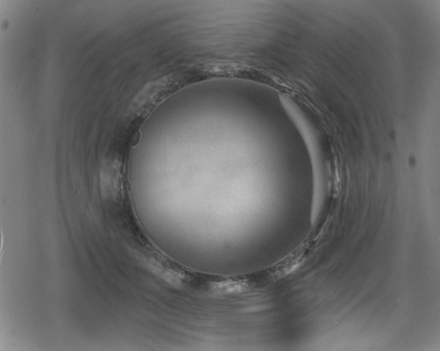 X0000078890511200611131233