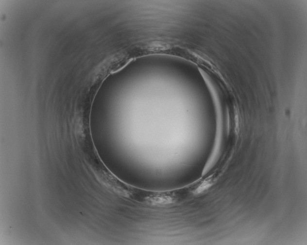 X0000078890512200611131233