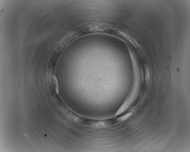 X0000078890513200611131233