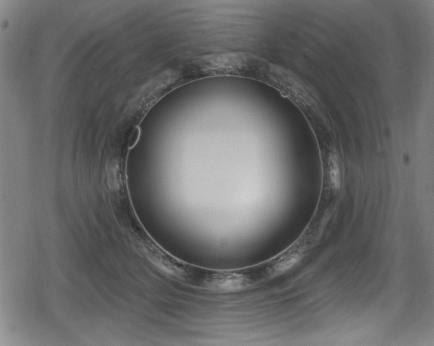 X0000078890514200611131233