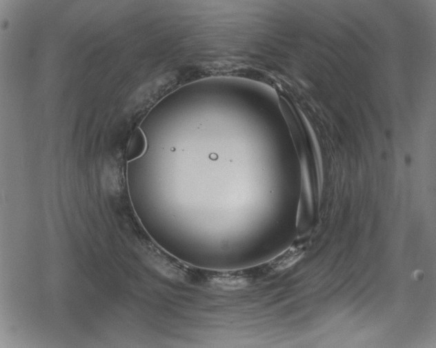 X0000078890515200611131233