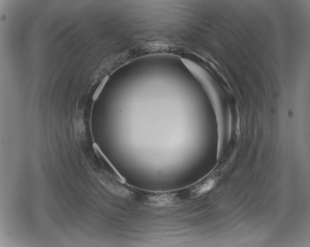 X0000078890516200611131233