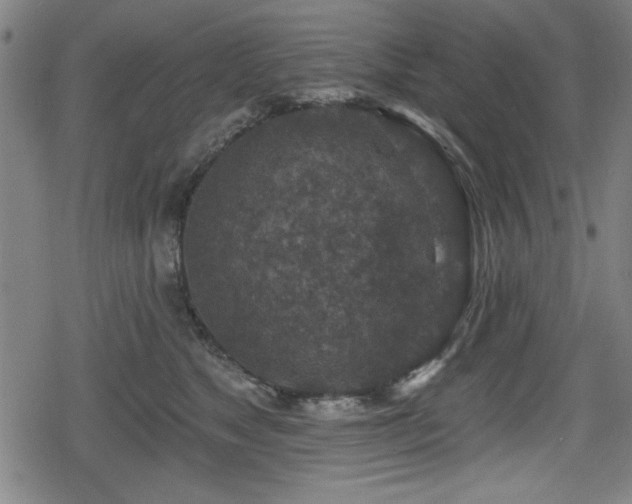 X0000078890517200611131233