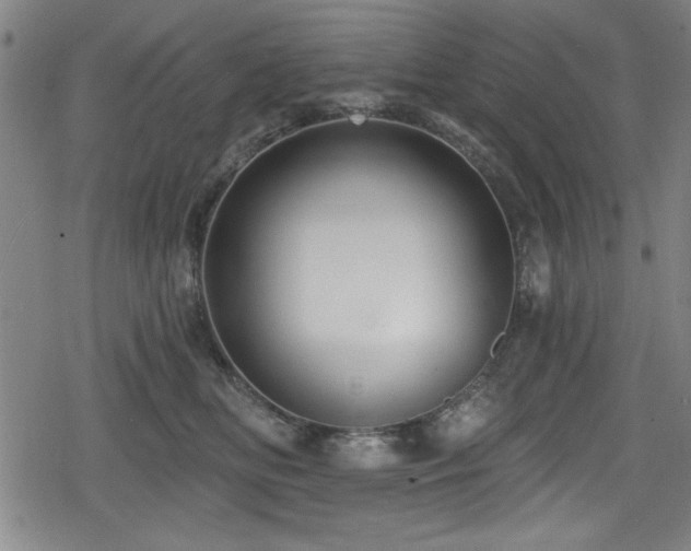 X0000078890518200611131233