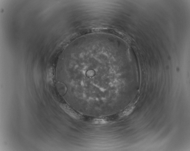 X0000078890519200611131233