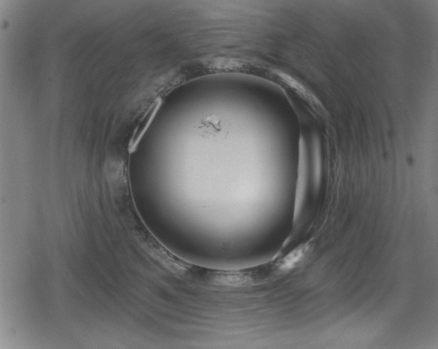 X0000078890521200611131233