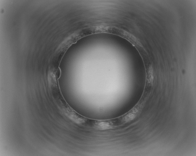 X0000078890522200611131233