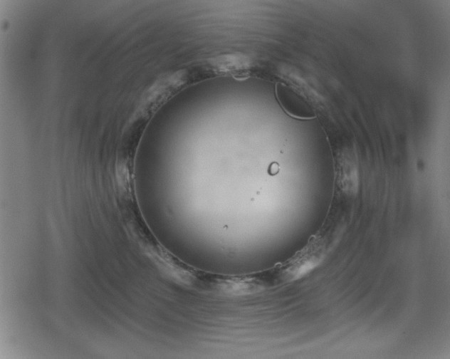 X0000078890523200611131233