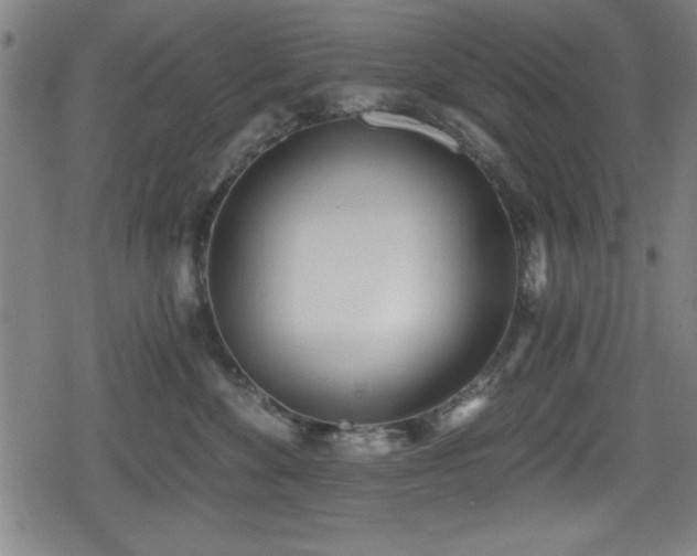 X0000078890524200611131233