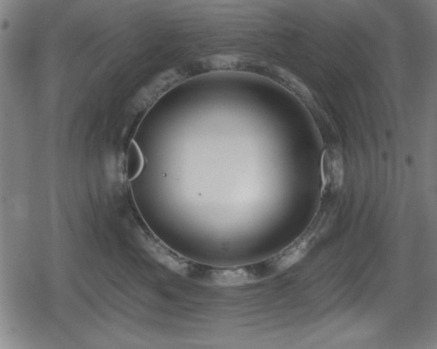 X0000078890525200611131233