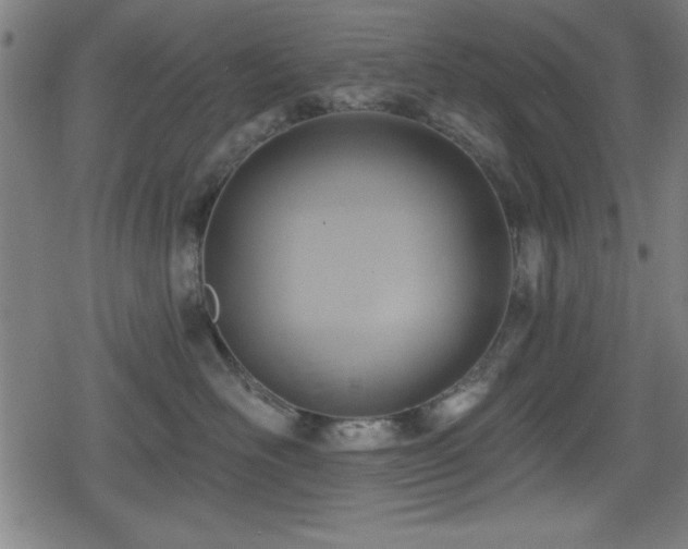 X0000078890526200611131233