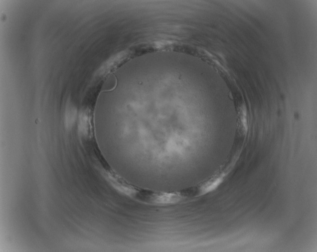 X0000078890527200611131233