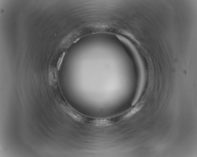 X0000078890528200611131233