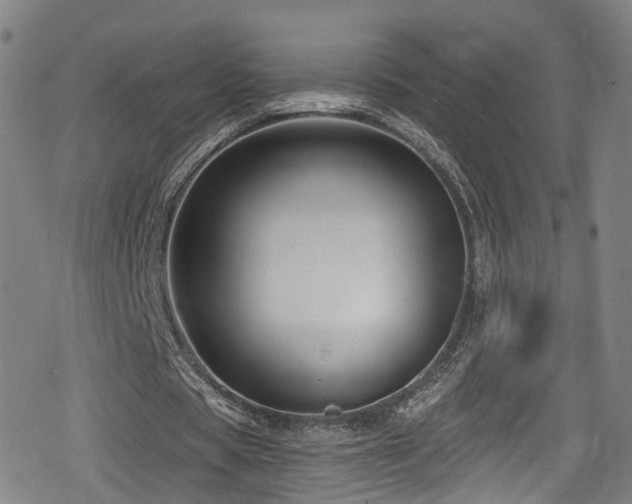 X0000078890529200611131232