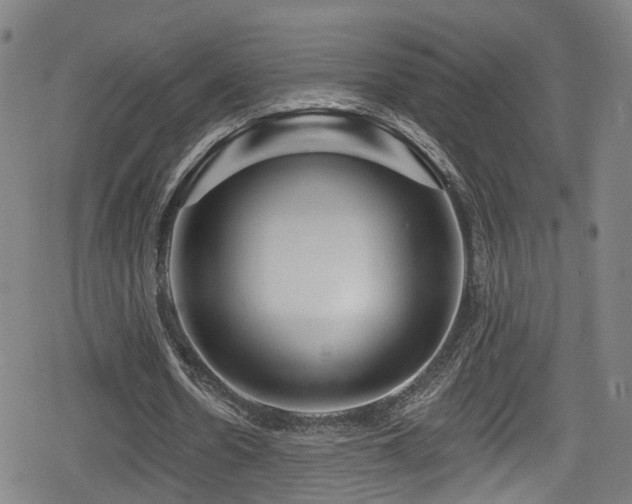 X0000078890530200611131232