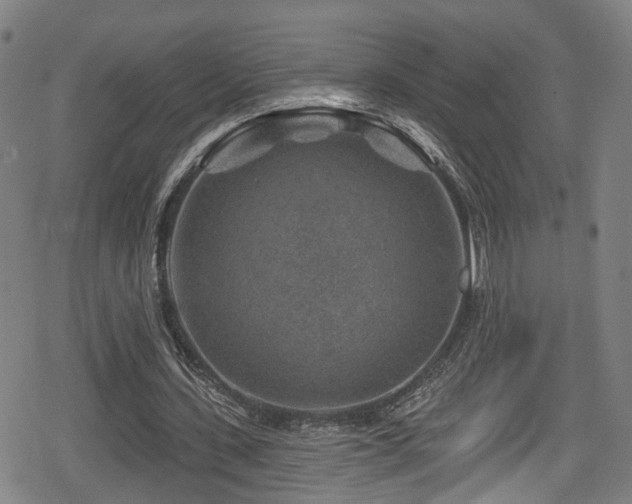 X0000078890531200611131232