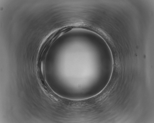 X0000078890532200611131232