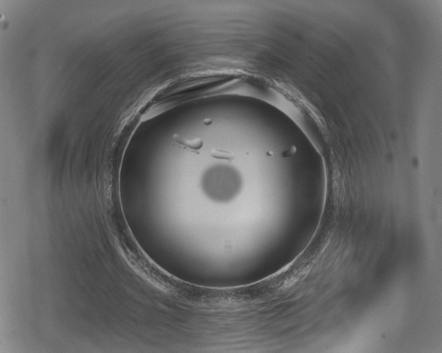 X0000078890533200611131232