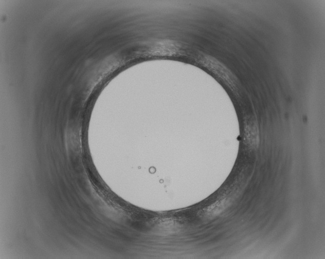 X0000078890534200611131232