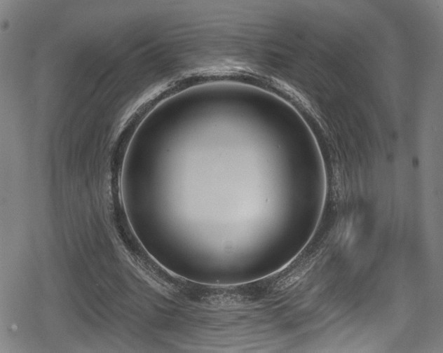 X0000078890535200611131232