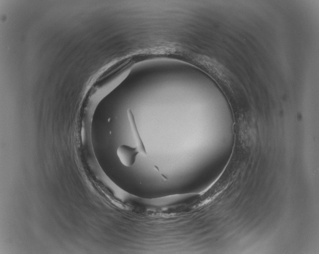 X0000078890536200611131232