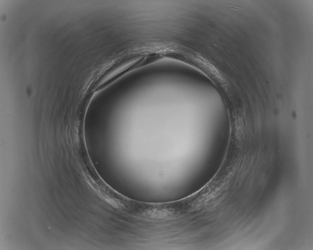 X0000078890537200611131232