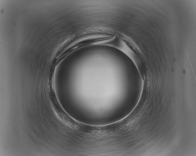 X0000078890538200611131232