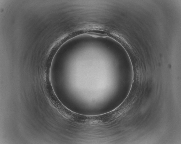 X0000078890539200611131232