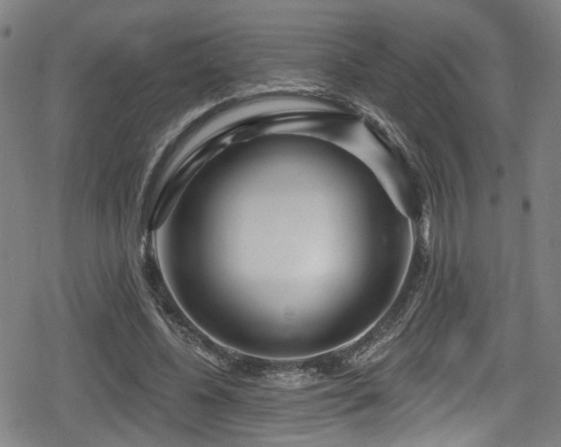 X0000078890540200611131232