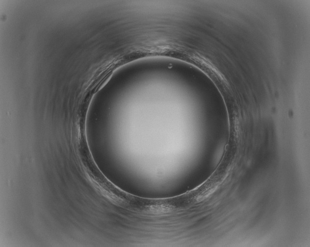 X0000078890541200611131232