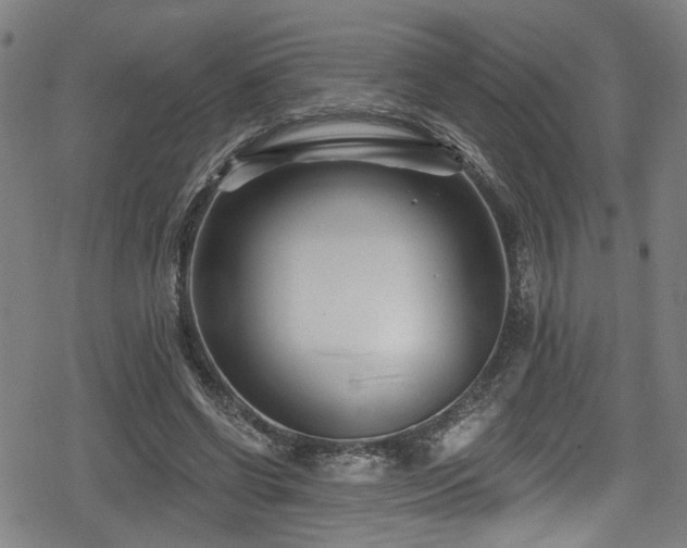 X0000078890542200611131232