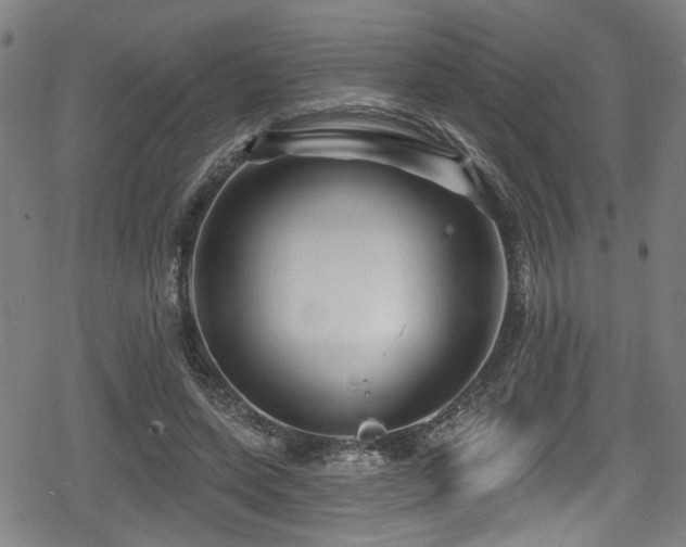 X0000078890543200611131232