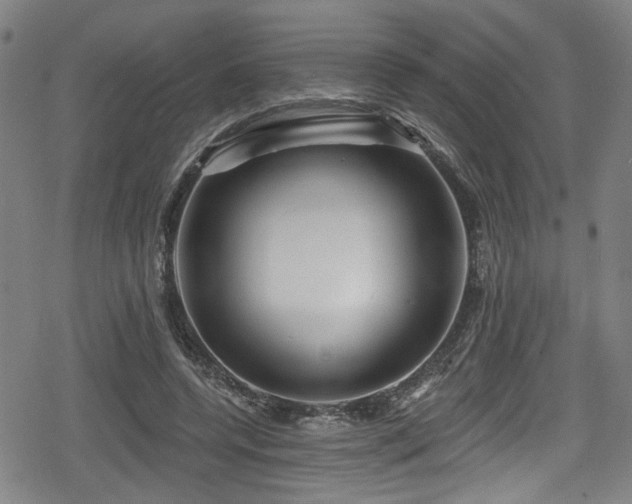 X0000078890544200611131232