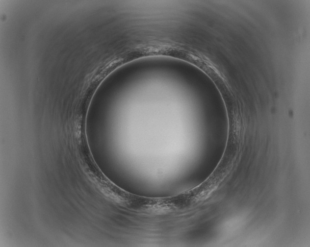 X0000078890545200611131232