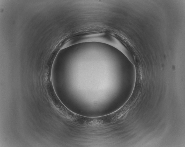 X0000078890546200611131232