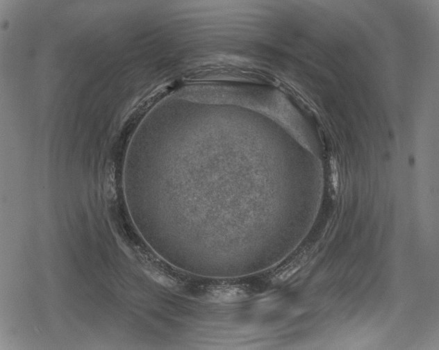 X0000078890547200611131232