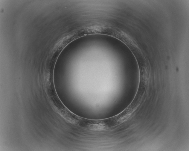 X0000078890548200611131232