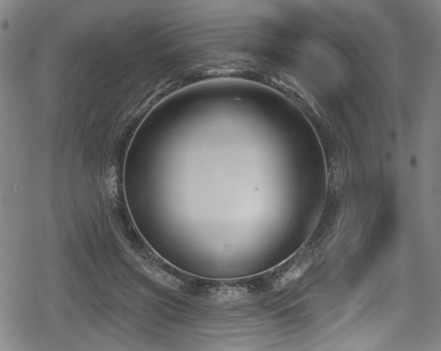 X0000078890549200611131232