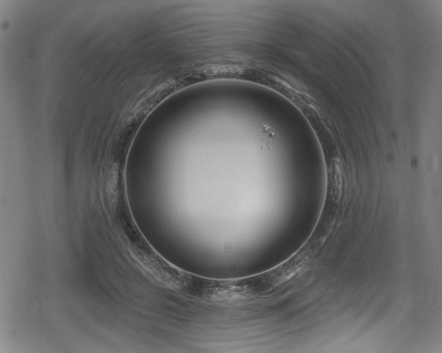 X0000078890550200611131232