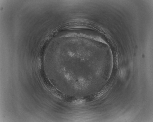 X0000078890551200611131232