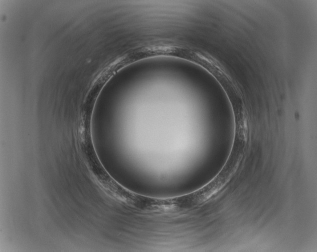 X0000078890552200611131232