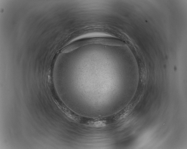 X0000078890553200611131232