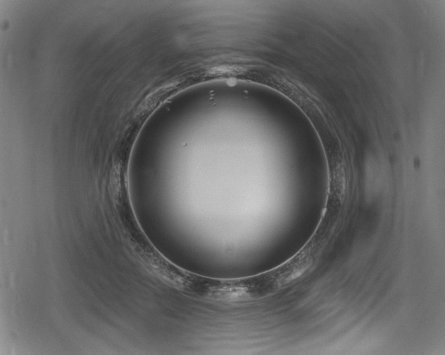 X0000078890554200611131232