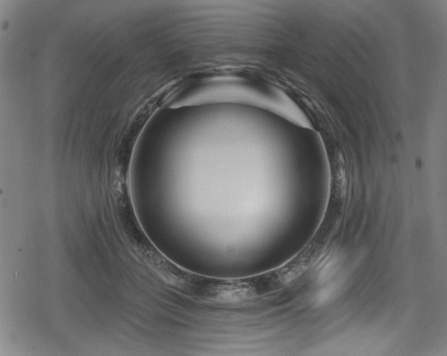 X0000078890555200611131232