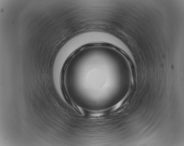 X0000078890556200611131232