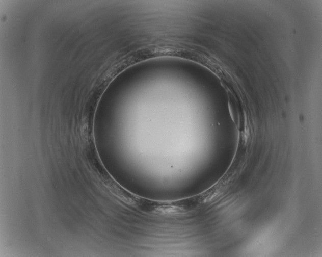 X0000078890557200611131232