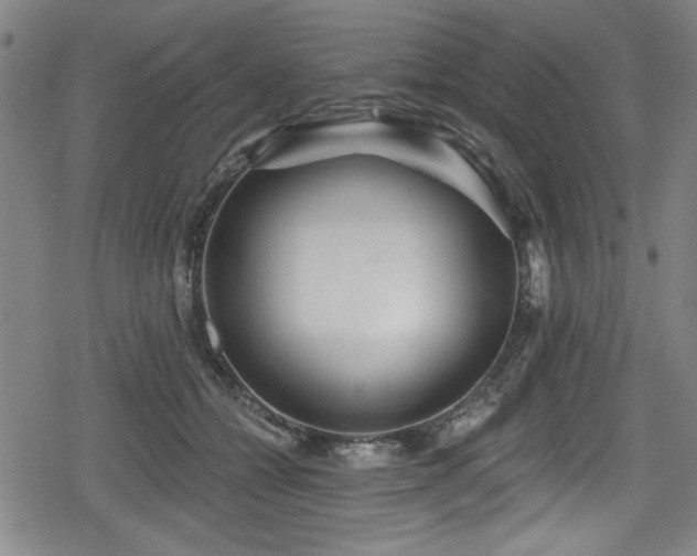 X0000078890558200611131232